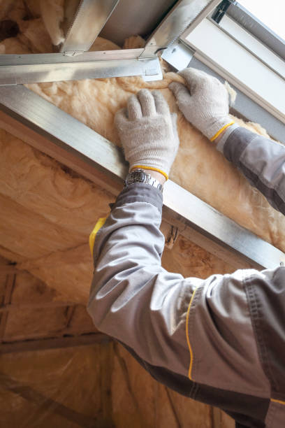 Best Specialized Insulation Services in Hacienda Heights, CA